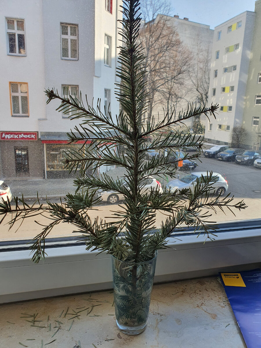 Зато в мае можно просто в открытое окно уронить)