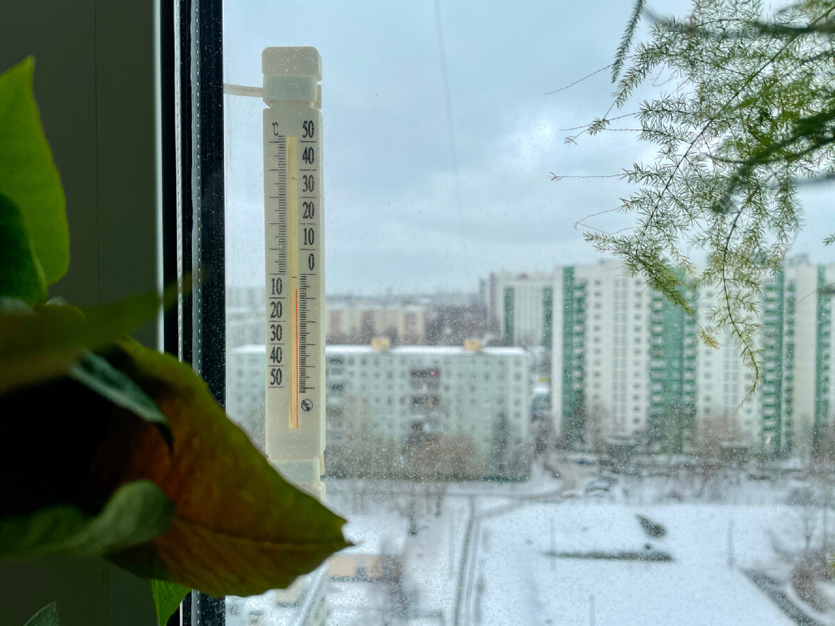 Погода