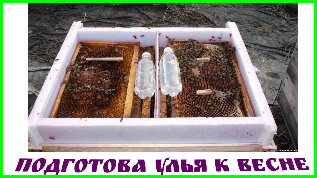 Подготовка улья к весне