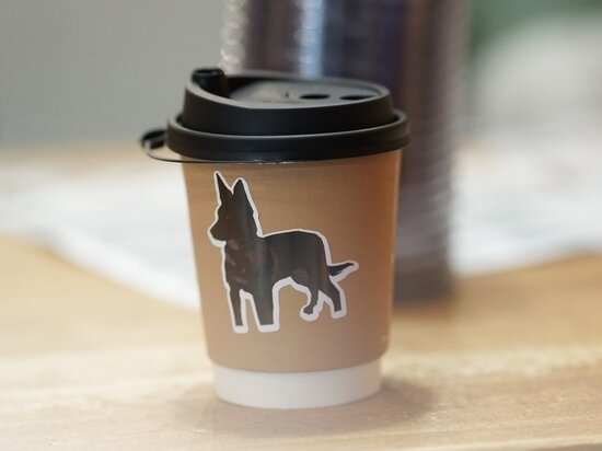     Фото: администрация Губкинского