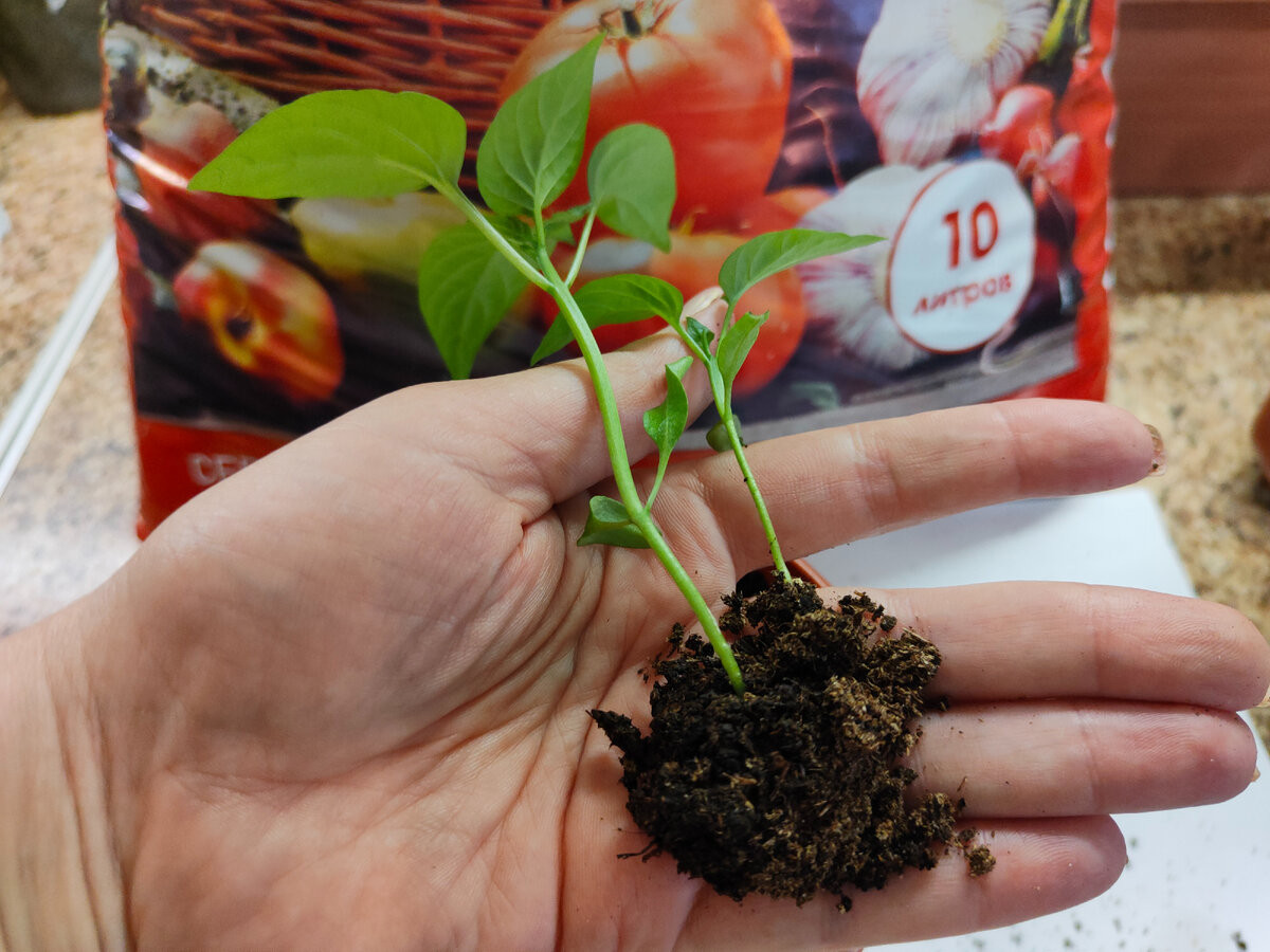 Майл.Картинки