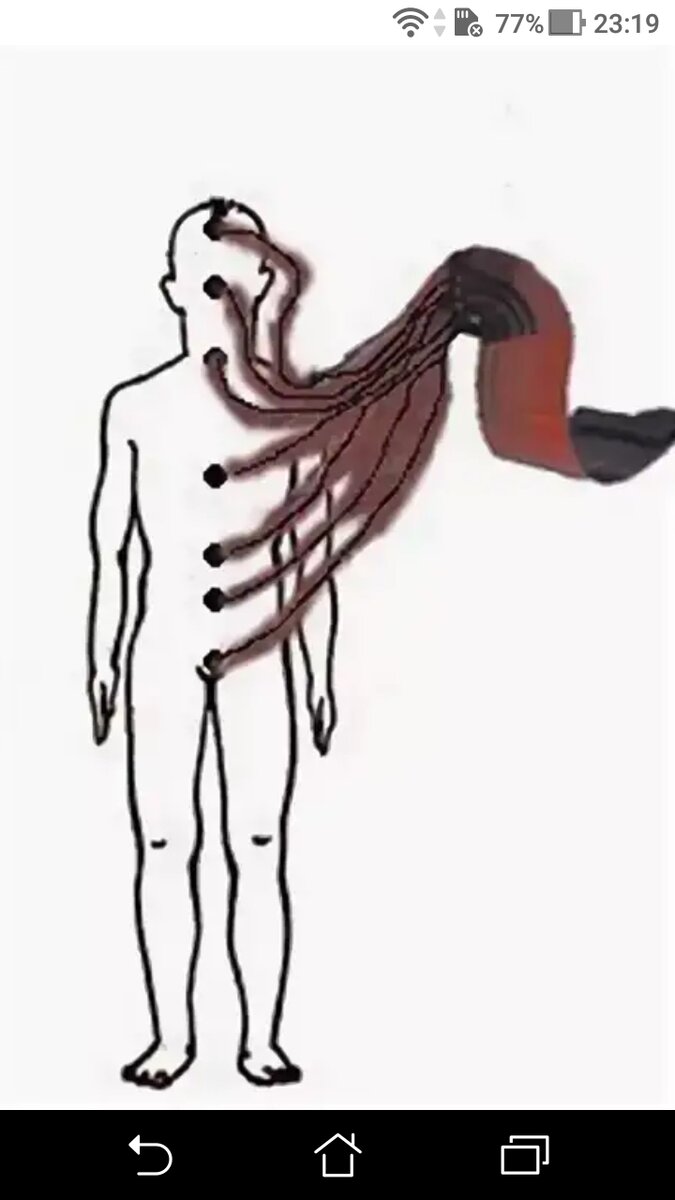 Как выглядят лярвы картинки