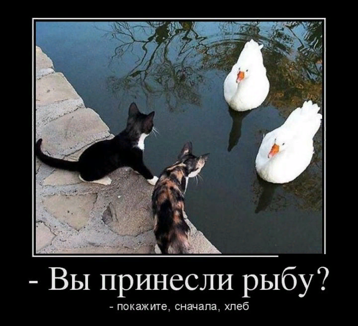 Не настоящий демотиватор