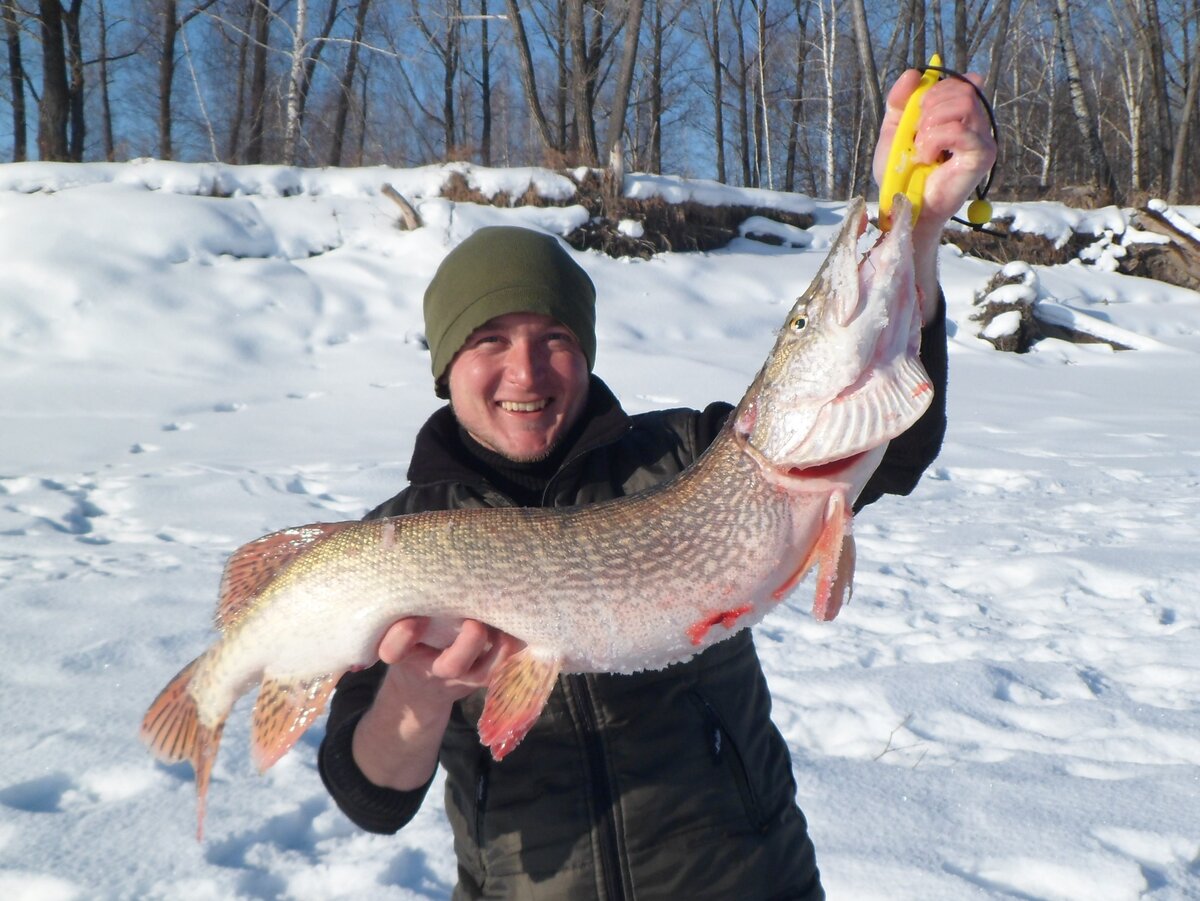 рыбаки новосибирск. вести с водоёмов новосибирской области. вести с водоемов новосибирск. рыбалку в новосибирске зимой. Fishingsib вести с водоёмов.