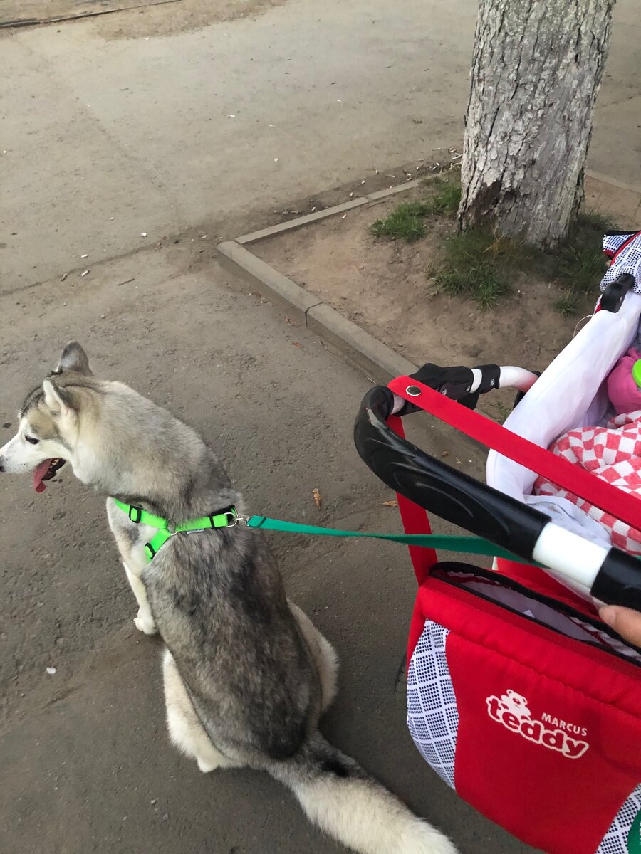 Фото с одной из прогулок