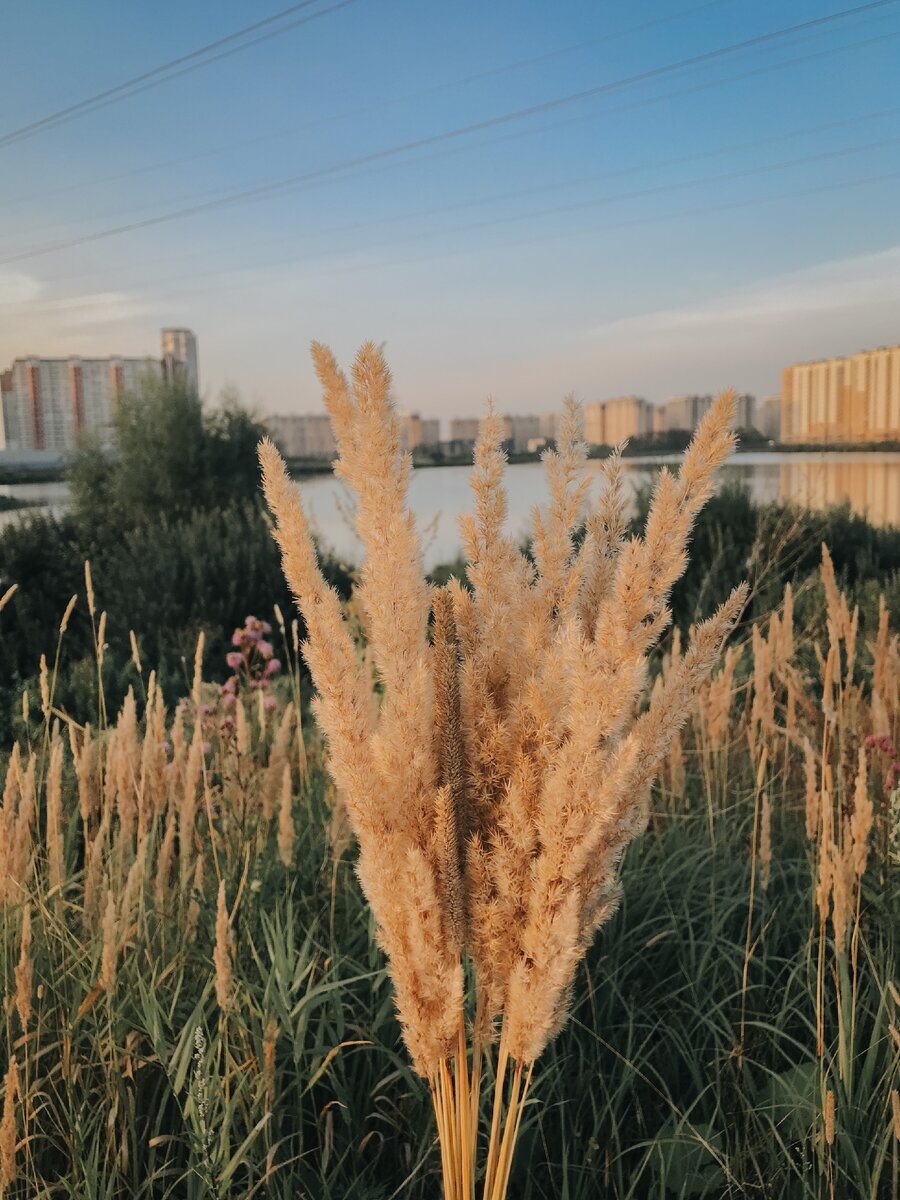 Озеро природное. Можно отлично отдохнуть, прогуляться с коляской и погулять с собакой.