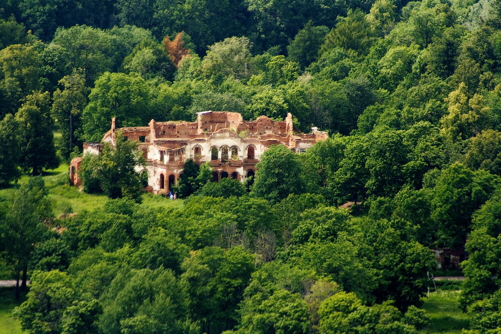 Усадьба Гостилицы. Вид сверху. Фото из открытых источников