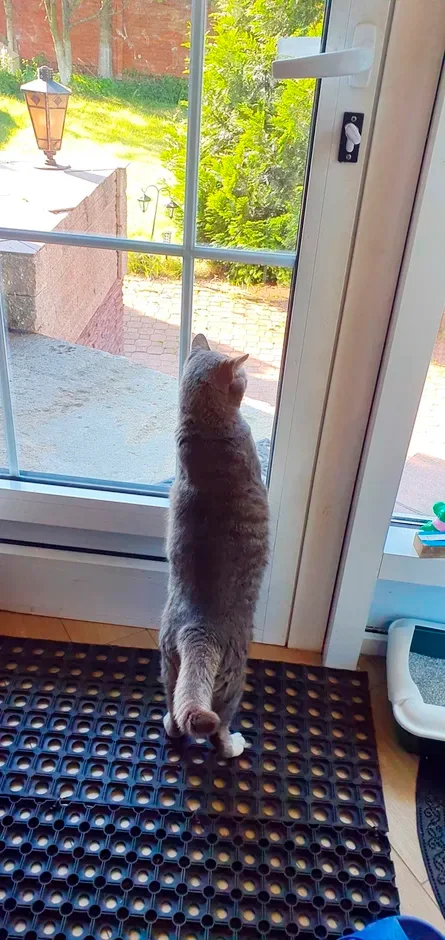 Редактировать галерею
 