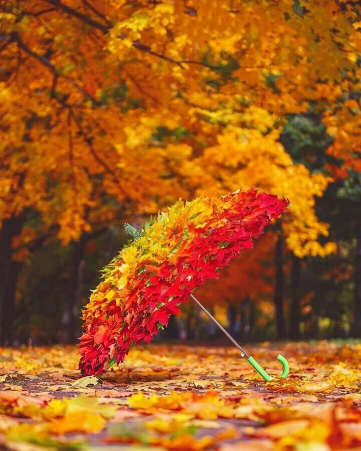  источник https://www.pinterest.ru/pin/243475923590713711/