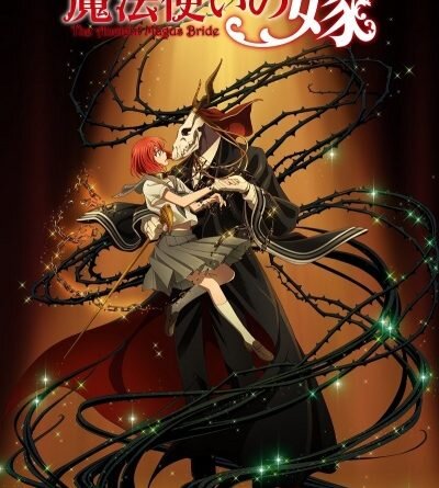 Действие аниме разворачивается в современном мире, где в тайне от людей существуют духи, драконы и феи, с которыми могут контактировать волшебники и чародеи. Однако, по причине роста населения и вырубке лесов, их количество быстро сокращается, а волшебники находятся на грани исчезновения.На закрытом аукционе, за огромную сумму денег, могущественный чародей Элиас Эйнсворт покупает 15-летнюю Тисэ Хатори, девочку обладающую большой магической силой, известной, как Слэ Беге, он хочет чтобы она стала его ученицей и невестой. С этого дня Тисэ Хатори начинает свою новую жизнь в мире фей, драконов и других волшебных существ.