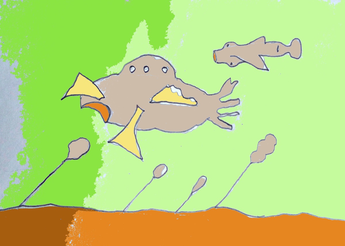 Рисунок автора