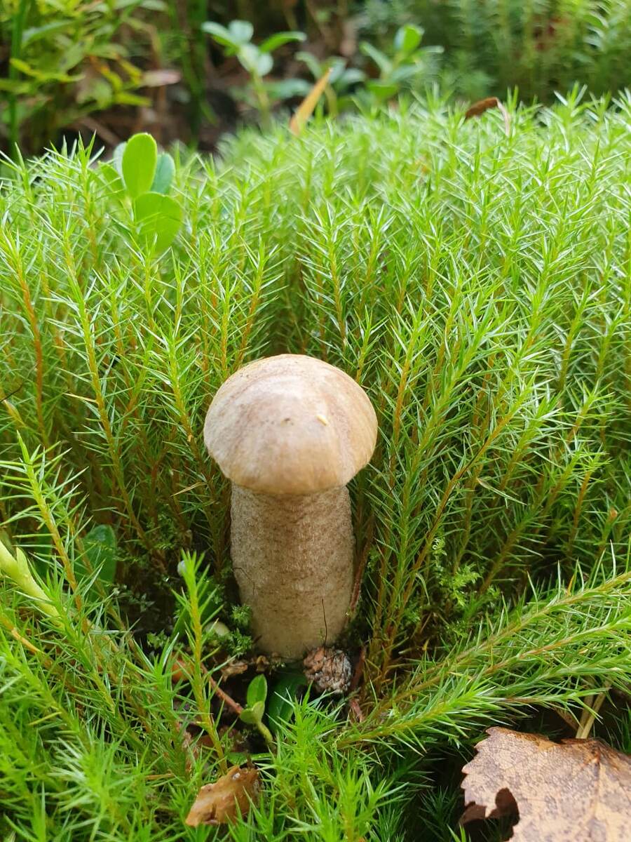 Прекрасная осень