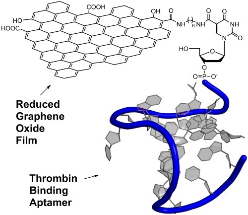 (с) Ольга Антипова, соавтор статьи в Fullerenes, Nanotubes and Carbon Nanostructures