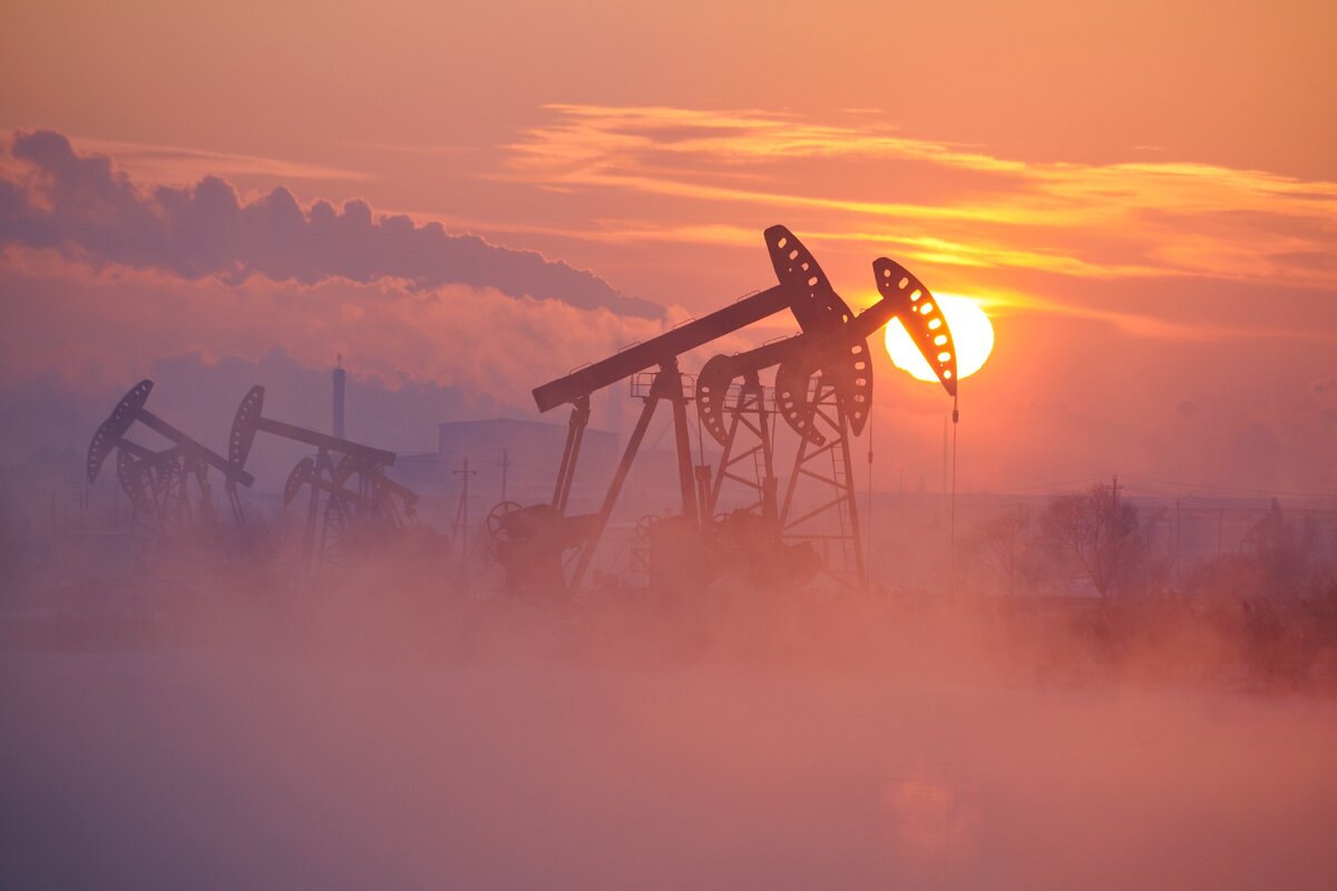 Иллюстрация: Adobe Stock