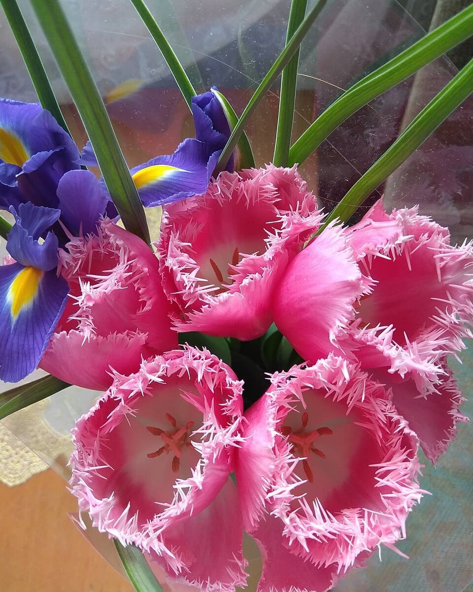 На самом деле, чтобы порадовать любимую, не обязательно тратить много денег , даже тот самый цветок с клумбы принесет ей очень много радости , а она вам подарит   прекрасную улыбку. Счастье в мелочах !!!!!!!