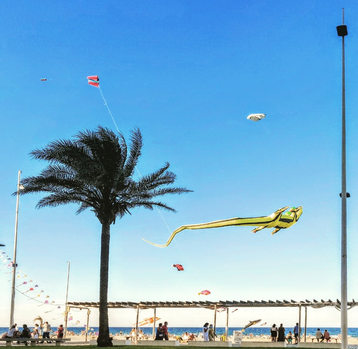 Gandia
