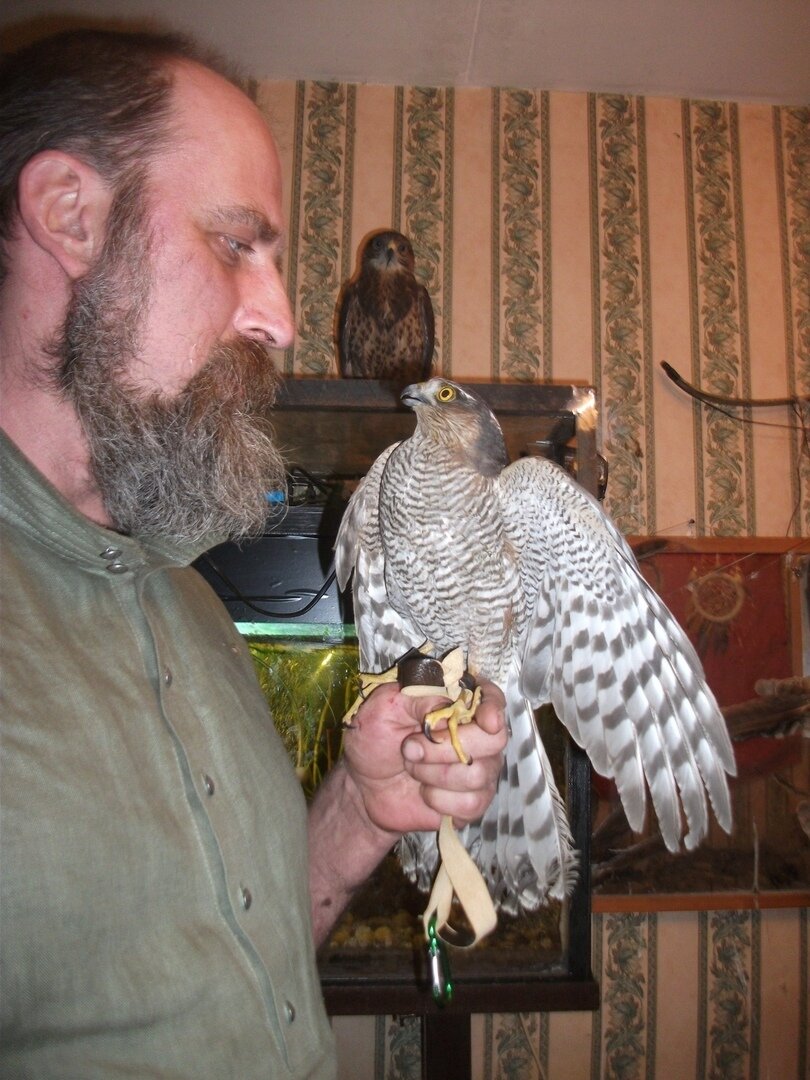 Лика в первый день у меня