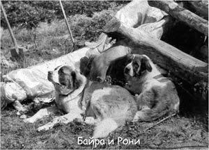 Байра и Рони