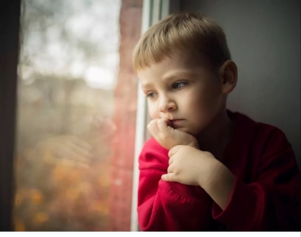 Картинка взята из источника Яндекс. Картинки.