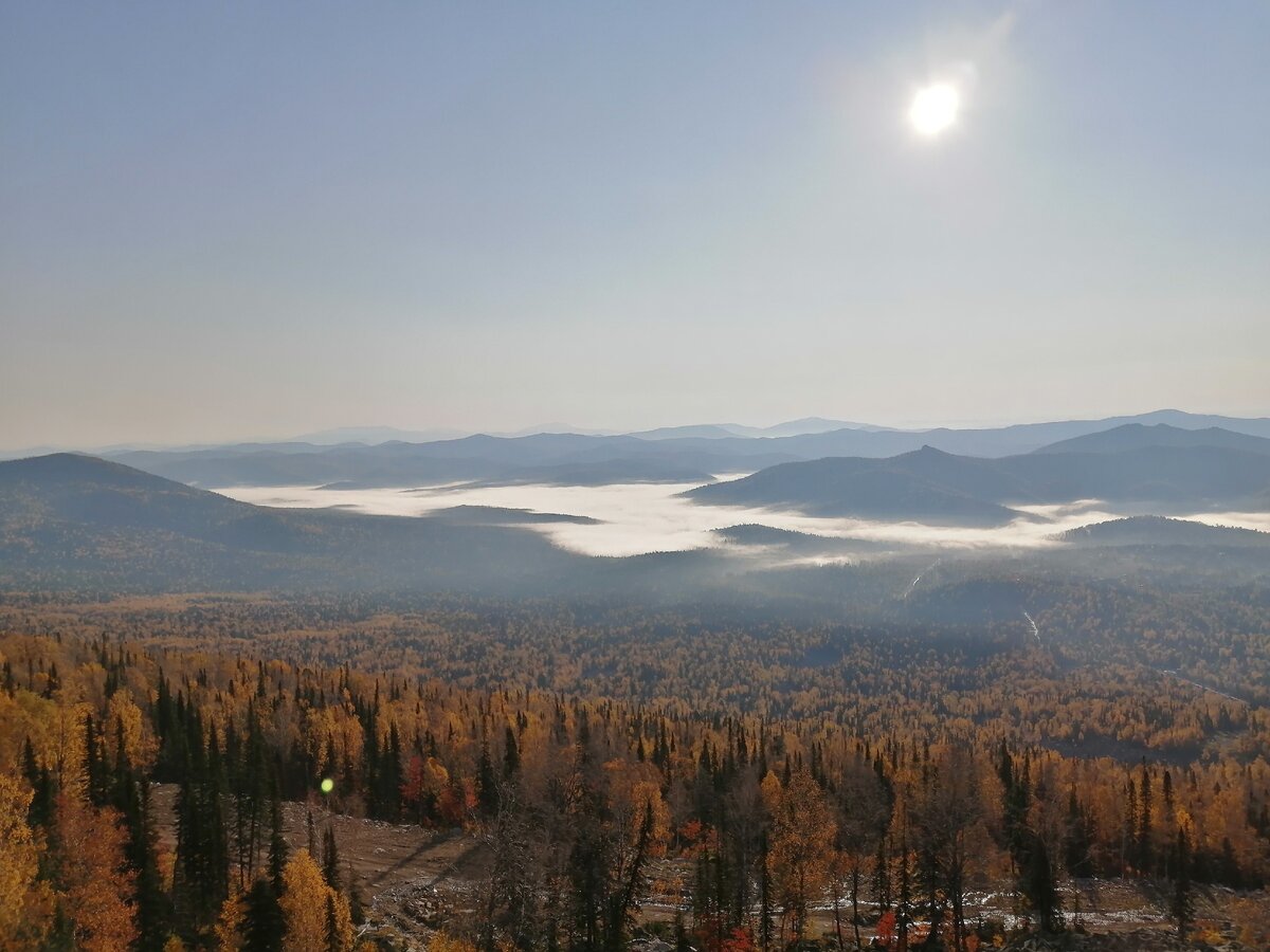 Золотая осень красота лесов
