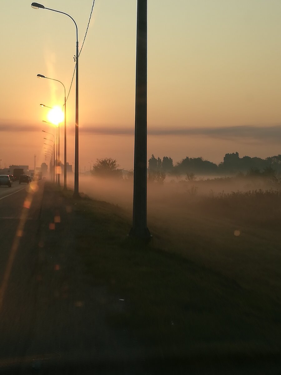 Обводное шоссе г. Тольятти (фото автора) 