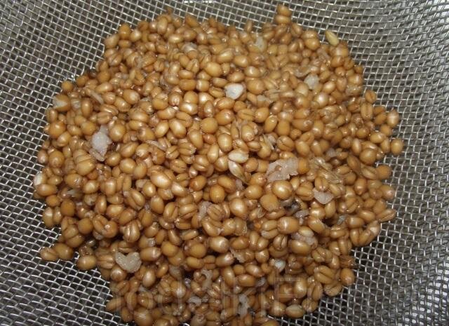 Фото: Яндекс.Картинки