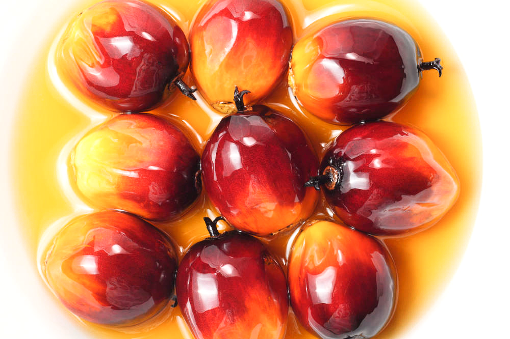 Плоды пальмовые