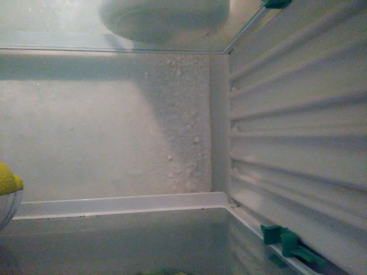 Вода на задней стенке холодильника