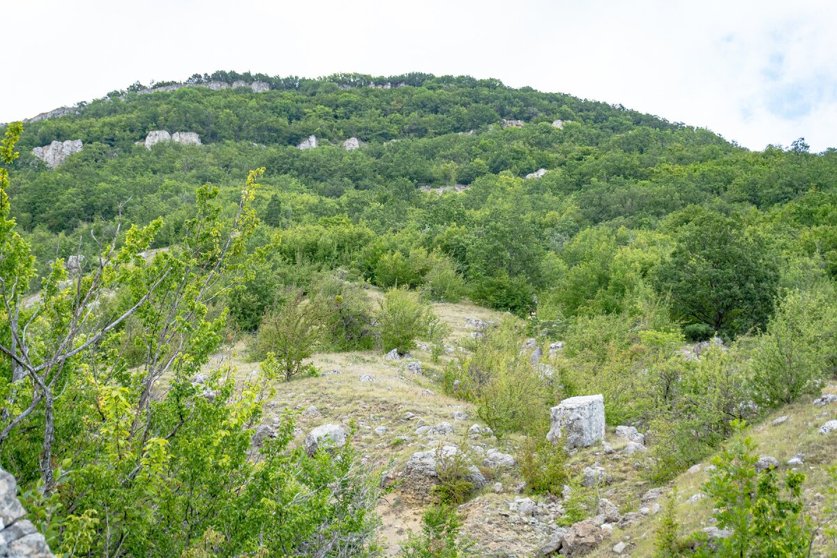 1. Склоны горы Сори, снятые рядом с верхним водопадом. Сама вершина пока не видна. Начинается короткий, но крутой подъём с маленькой ровной площадки над обрывом водопада до тропы Кок-таш-богаз, тоже крутой, но чуть в меньшей степени.