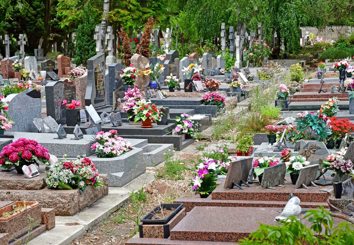 Фотографии из открытых источников сети Интернет