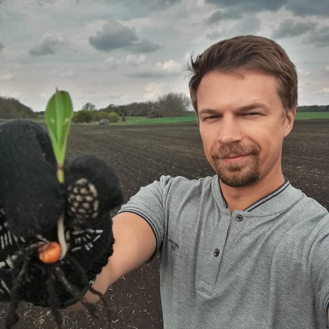 В хозяйстве Никиты выращивают кукурузу, сою, озимую пшеницу и подсолнечник