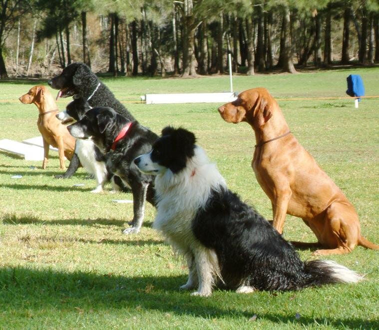 занятия в группе