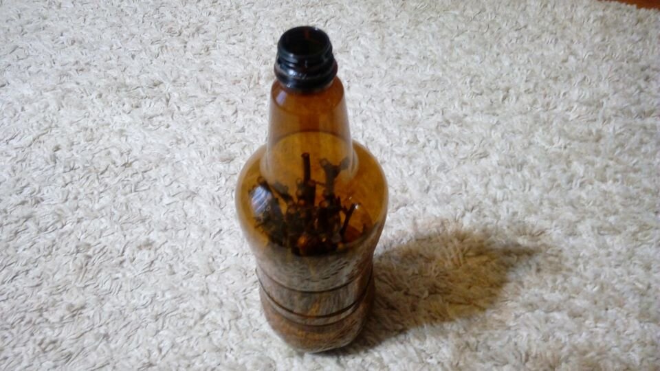 Черенки роз в бутылке. Фото автора 