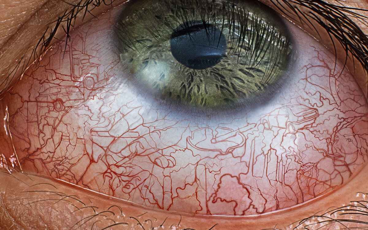 художник Diego Salas