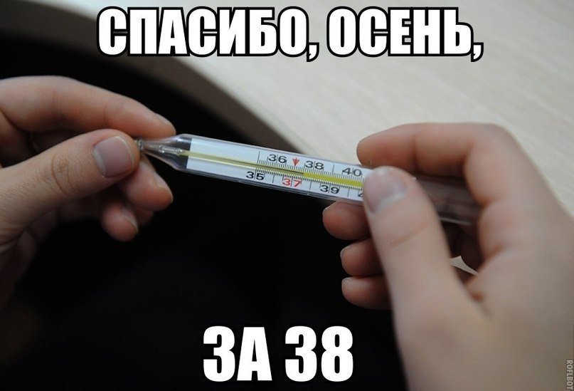  https://yandex.ru/images