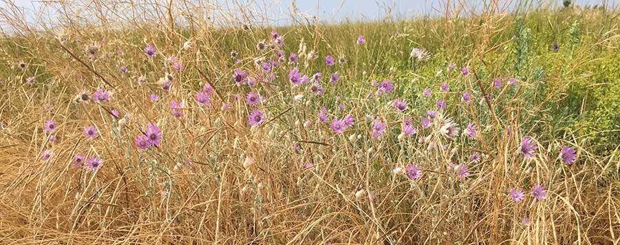 ПРОСТРАНСТВО ЗДОРОВЬЯ SPACEHEALTH Поиск инновационных идей по всему миру!