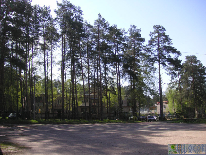 Поселок Бор