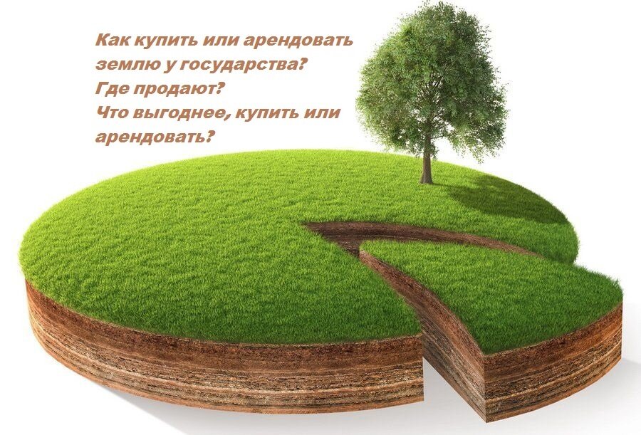 Коллаж из сети в моей редакции
