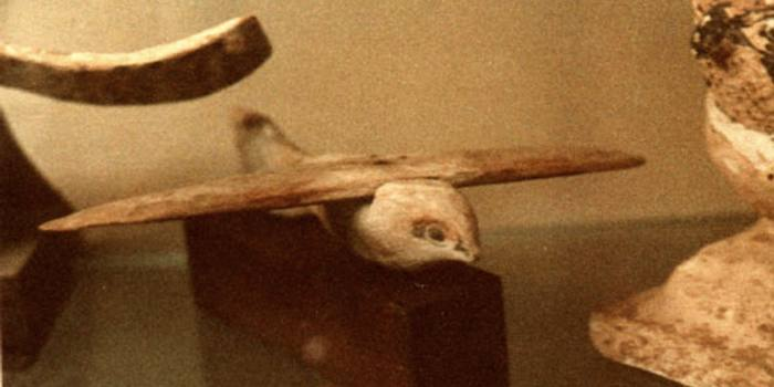 Фото взято из общедоступных источников 