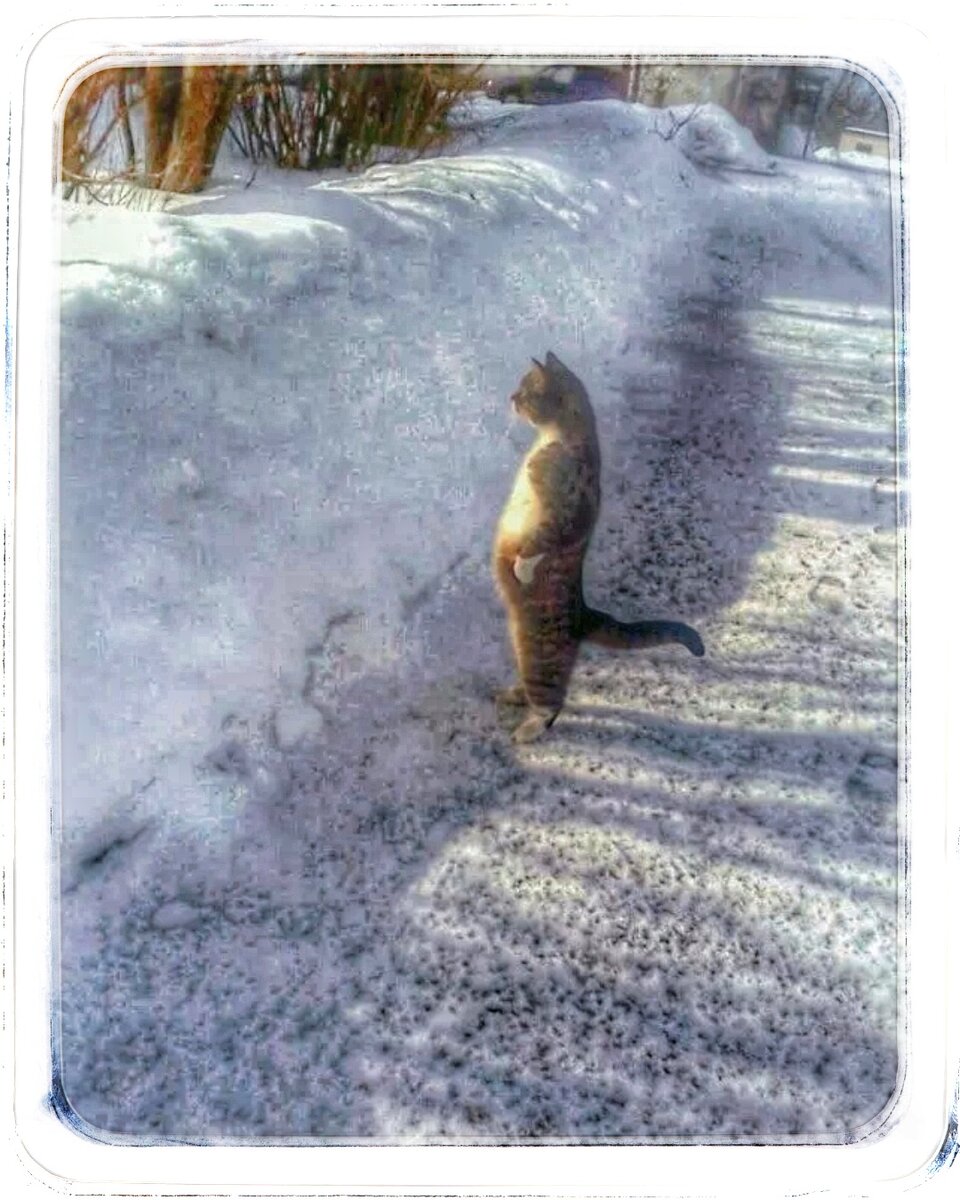 Буду краток: начинайте с весны. 