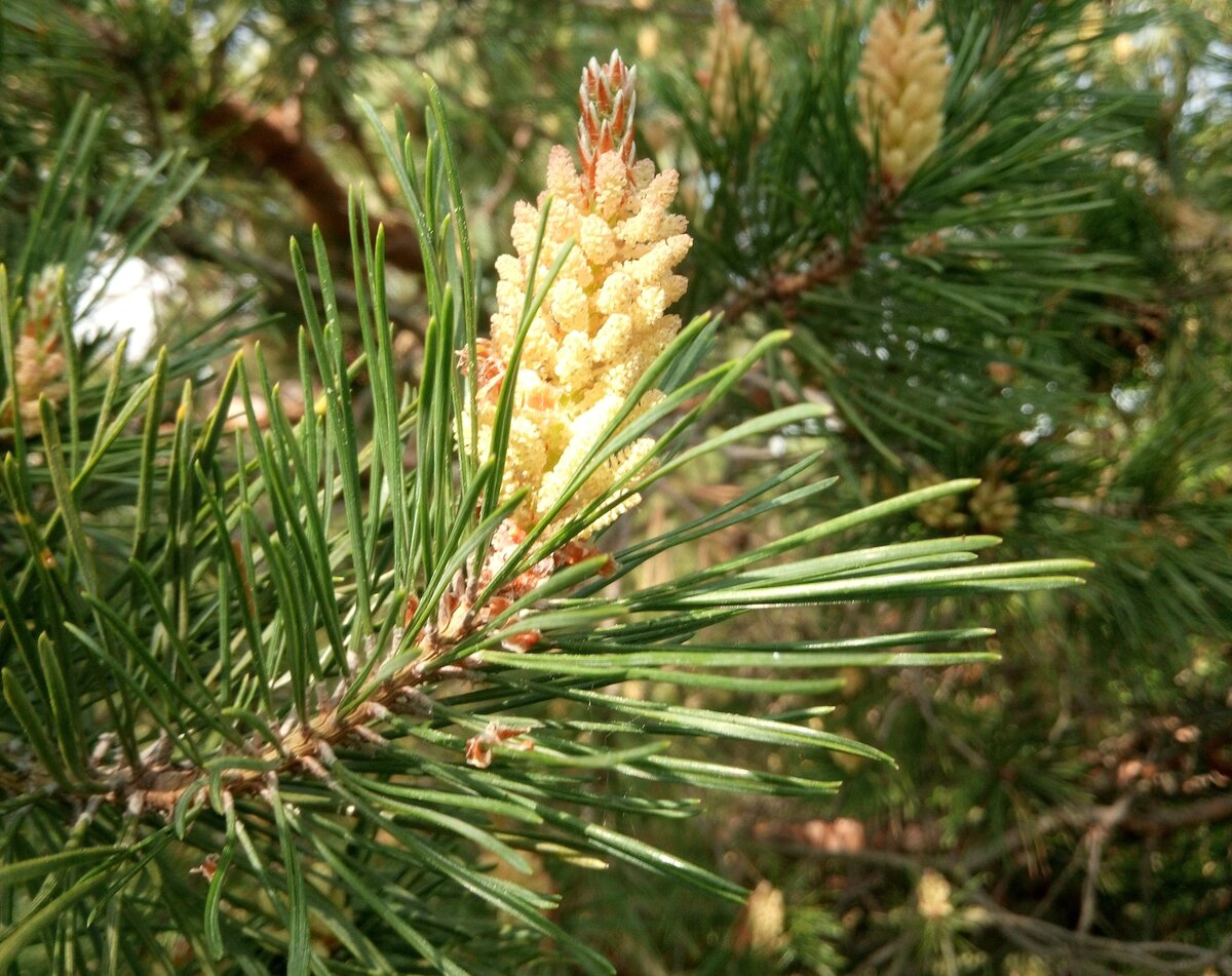 Фото автора рассказа