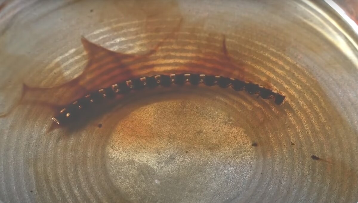 Автомеханик показал, как димексид влияет на отложения на маслосъёмных ...