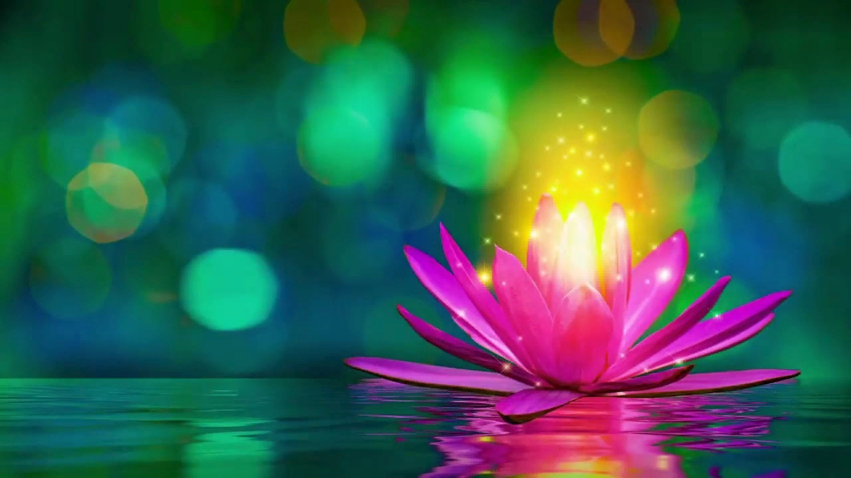 фото в свободном доступе