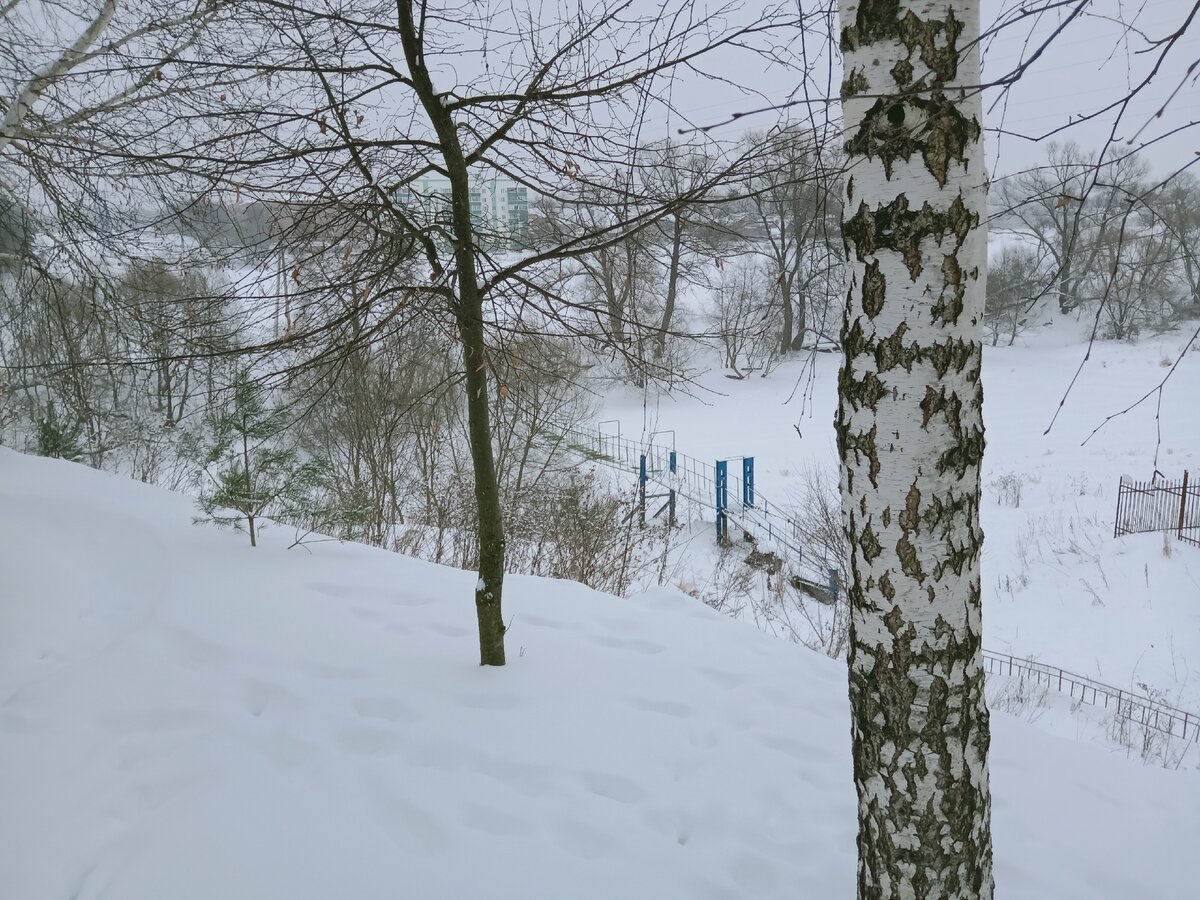 Подольск. Деревня Лемешево