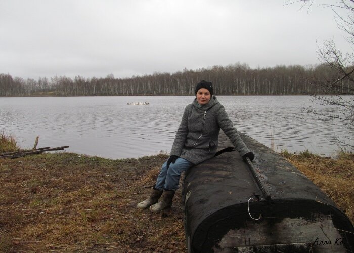 Осень, наше Озеро и гусики на нём