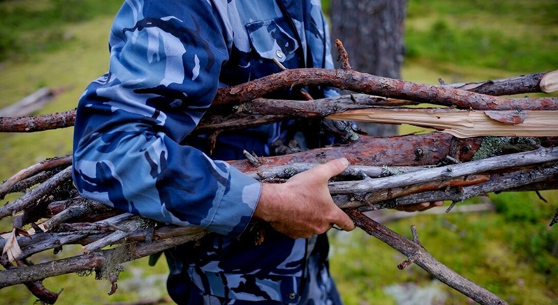 Фото из открытых источников