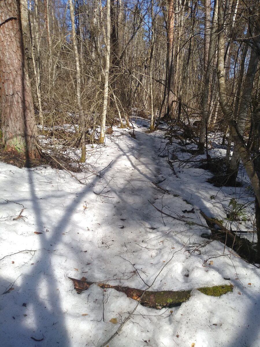 Найти пещеры можно ориентируясь на проложенные тропы.