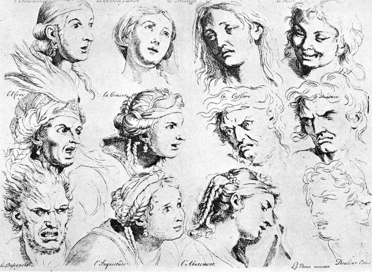 Формулы человеческих переживаний по Шарлю Лебрену (Яндекс.Картинки)