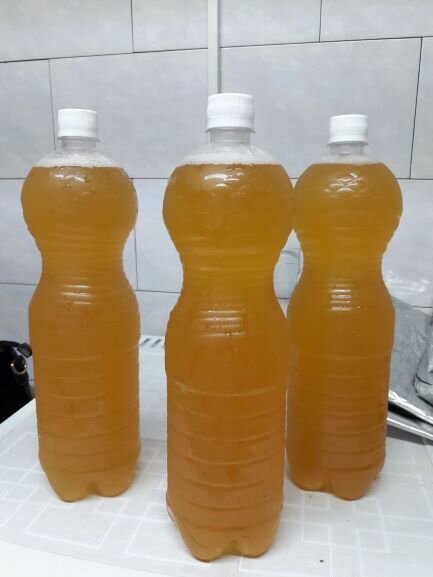 Бутылки с только что разлитым из танка (цилиндроконического бродильного танка) нефильтрованным пивом. 