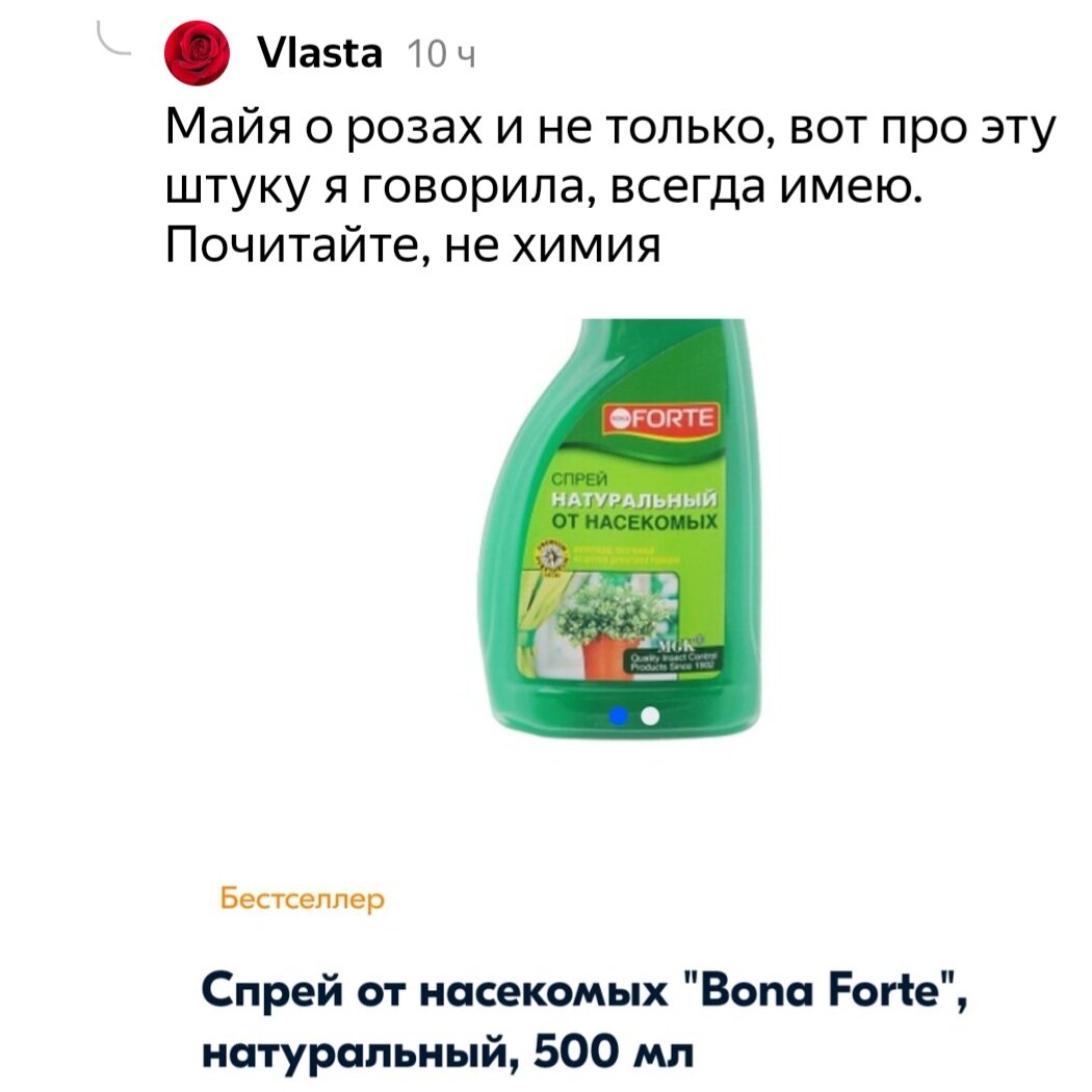 сочинение на тему можно ли простить измену гроза фото 98